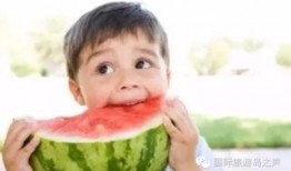 热门大瓜每日必吃大瓜合集 吃瓜爆料短剧,揭秘娱乐圈短剧爆料合集